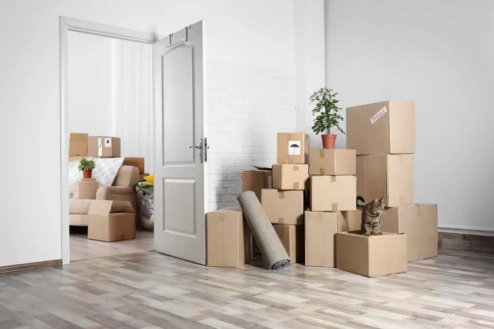 Things to Consider When Moving: How to Plan Your Relocation